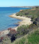 Looking South  - Cliff Top Walk