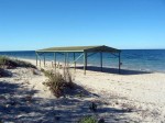 Shelter Shed